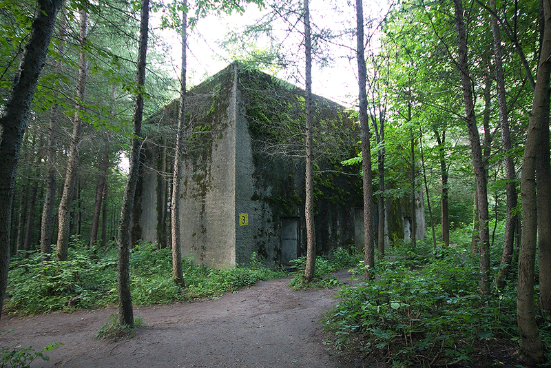 Imágenes del complejo de búnkers de Mamerki en la actualidad. Fotos: Panoramio y Wikimedia Commons.